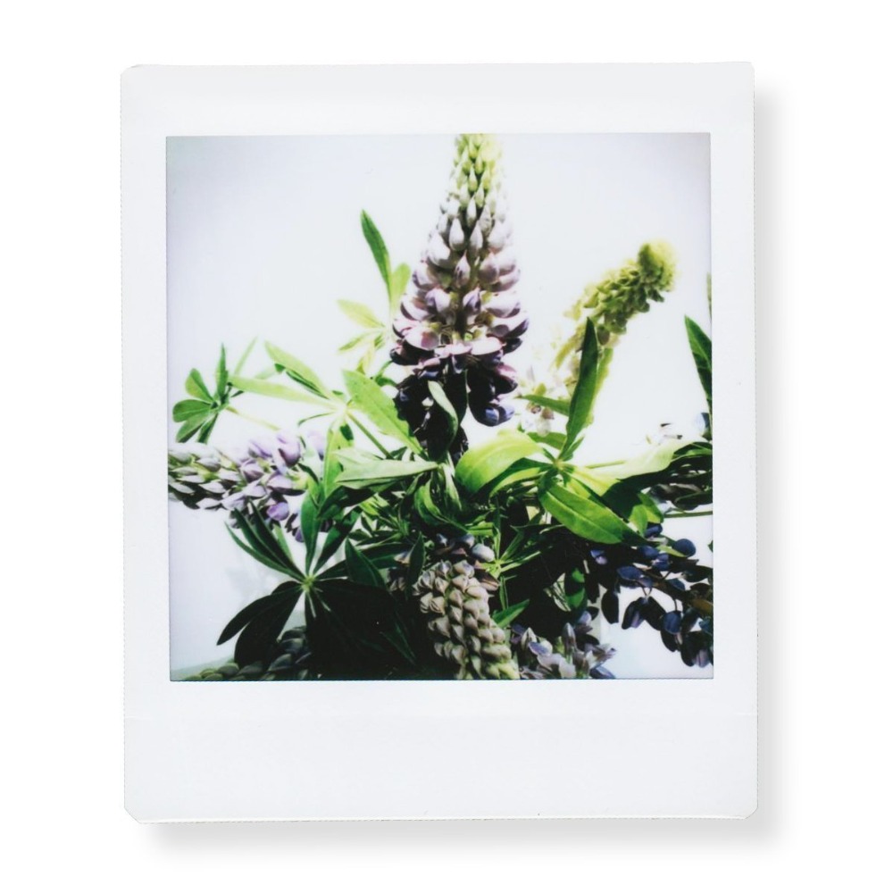 Квадратная фотобумага Fujifilm – обзор и цена Instant Film Pack